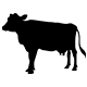 Merlab Laboratuvar Ekipmanları