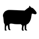 Merlab Laboratuvar Ekipmanları